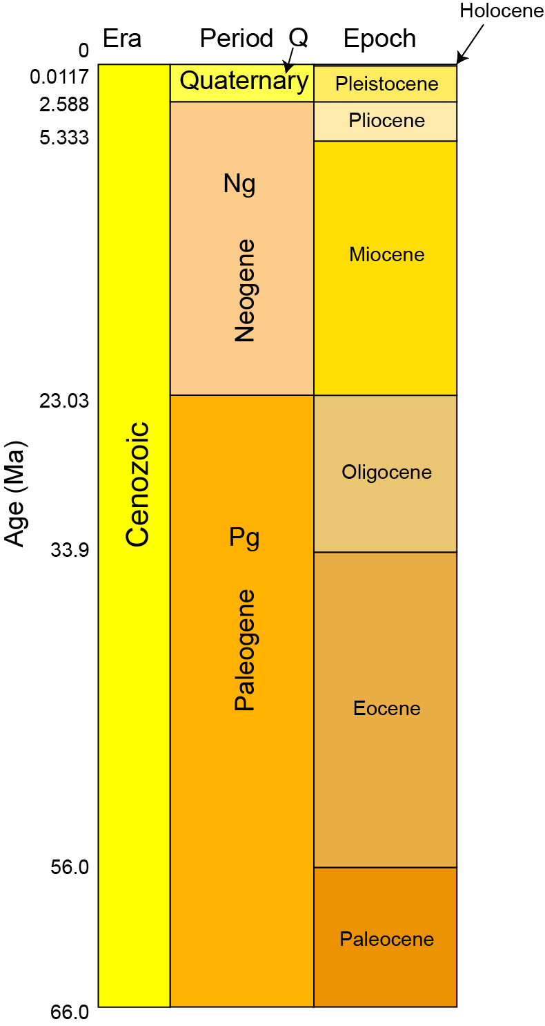 early cenozoic era