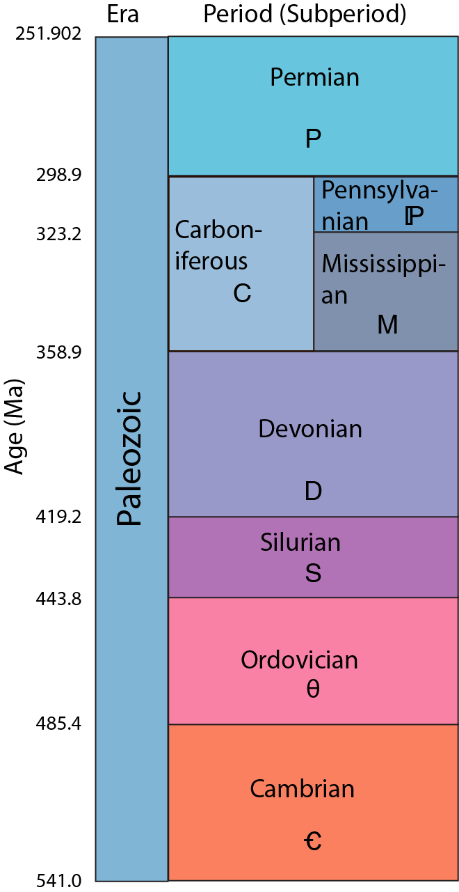 carboniferous period timeline