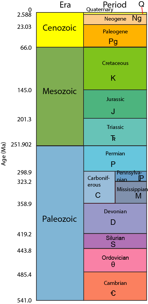 Cambrian Time Period Timeline